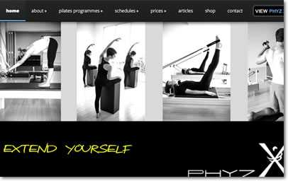 PHYZ-X Website